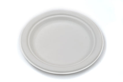 10" Sugarcane Bagasse Round Plate